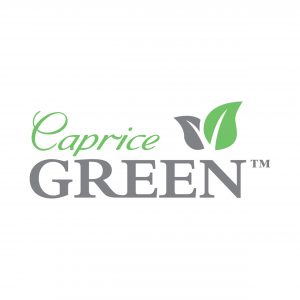 Caprice Green Lunch Napkin 1 Ply 300mm x 300mm